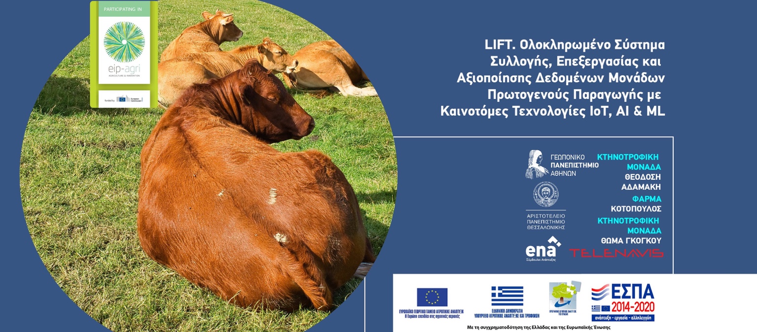 Εικόνα βοοειδών & σήματα έργου